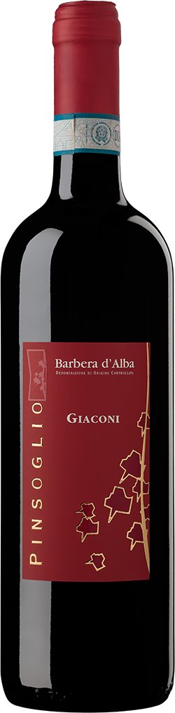 Barbera d'alba Giaconi Pinsoglio